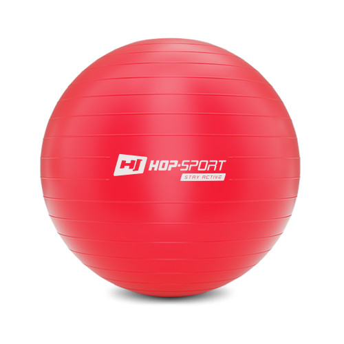 Фитбол  Hop-Sport 65cm HS-R065YB red + насос - фото №2